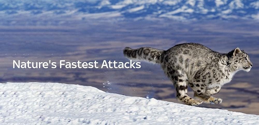 Nature's Fast Attacks